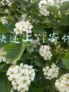 快递上门寄件