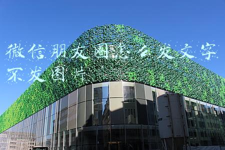 微信朋友圈怎么发文字不发图片
