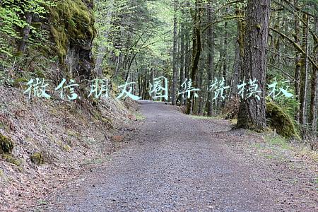 微信朋友圈集赞模板