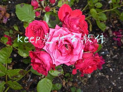 keep是什么软件