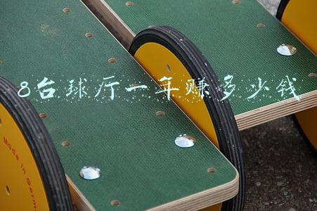 8台球厅一年赚多少钱