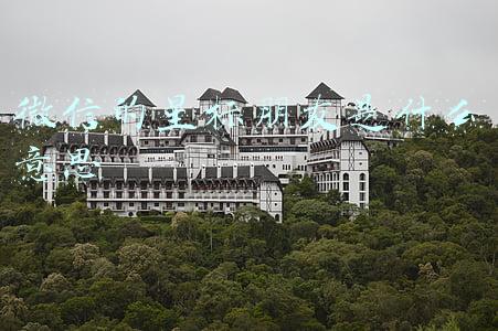 耍朋友是什么意思(抖音三合伙是什么梗 抖音三合伙是什么意思)