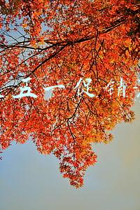 国美五一促销活动