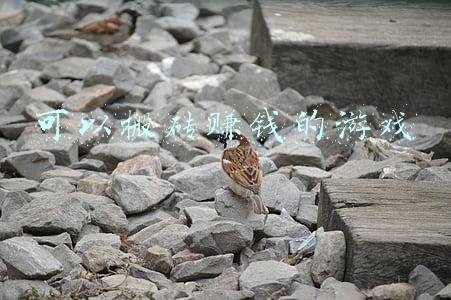 可以搬砖赚钱的游戏