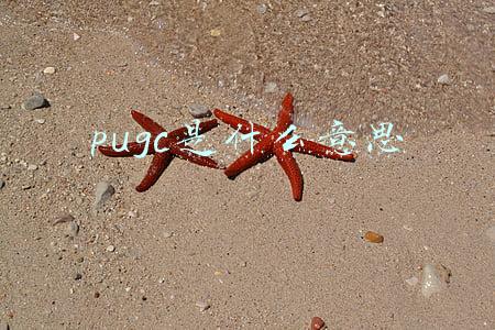 pugc是什么意思网络用语(概念解析：UGC、PGC、OGC、PUGC，这些概念你分的清吗？)