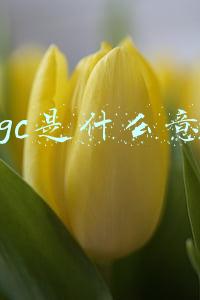 pugc是什么意思