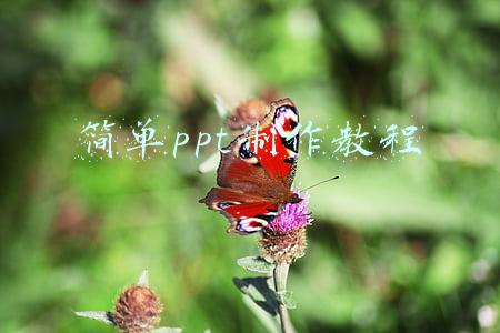 简单ppt制作教程