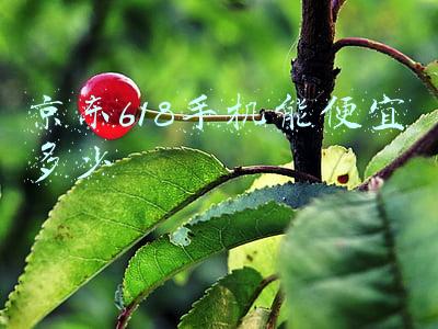京东618手机能便宜多少