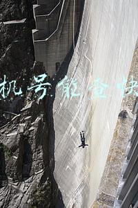 用手机号能查快递吗