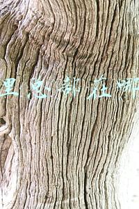 阿里总部在哪里,偏僻吗(阿里巴巴集团区域总部已然落地，不在重庆两江新区，而是在...)