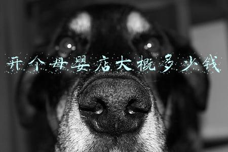 加盟一个母婴店需要多少钱(开个孕婴店大概需要多少钱)