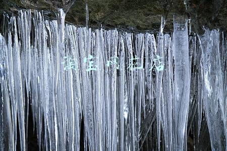 淘宝网花店