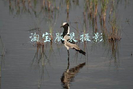 淘宝服装摄影