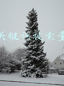 关键词搜索量