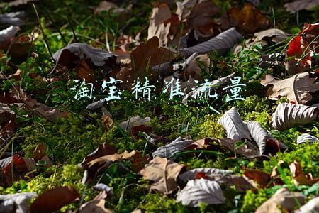 淘宝精准流量