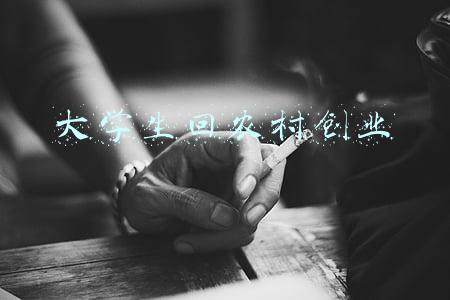 大学生回农村创业