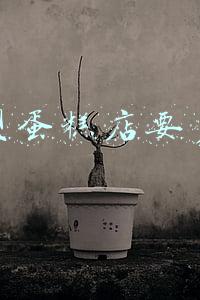 开一间烘焙店需要多少的投资成本？（蛋糕店开办费需要多少钱）