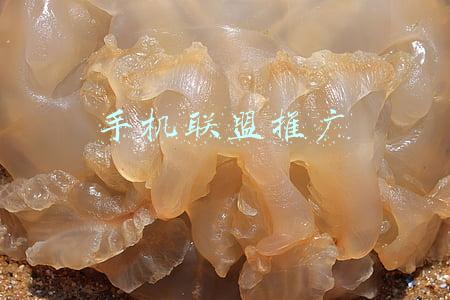 广告联盟app推广(小张说广告联盟赚钱)