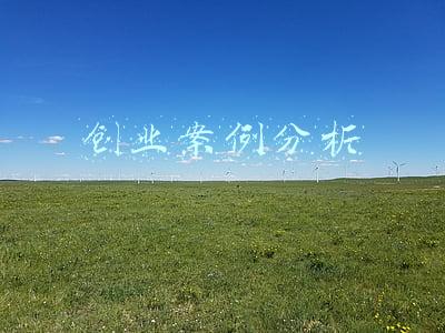 创业案例分析