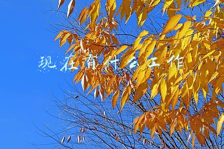 现在有什么工作工资比较高(这一行太火爆！月工资过万，不少家庭抢着要)