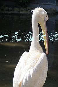 一元店货源