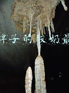 什么牌子的酸奶最正宗