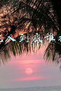 云集入驻条件及费用(云集开放物流)