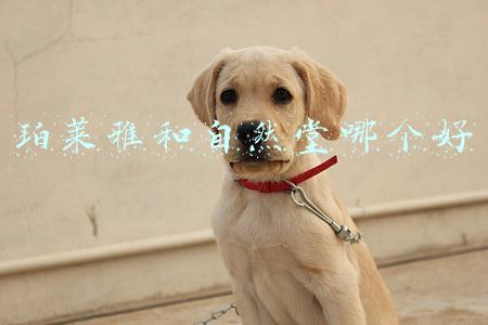 珀莱雅和自然堂哪个好