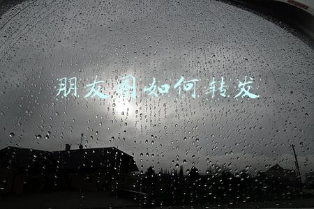 朋友圈如何转发别人的文字和图片(智能手机应用基础知识：五、怎样在朋友圈转发文字)