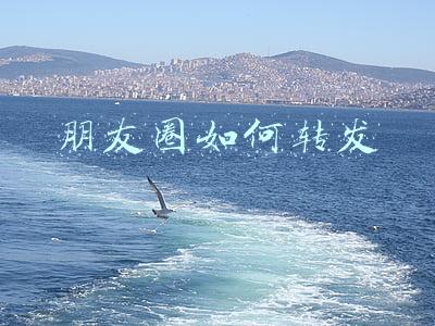 朋友圈如何转发别人发的链接(《拼多多》分享商品链接方法)