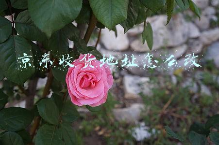 京东收货地址怎么改
