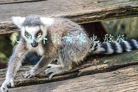 美团外卖商家电脑版打不开(美团外卖今早崩了？回应：故障已修复，将补偿用户商家骑手)