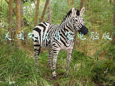 美团外卖商家电脑版