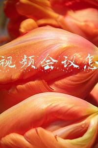 微信视频会议怎么开