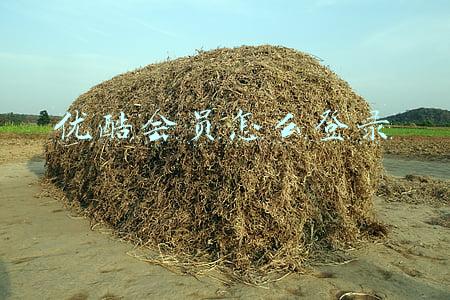 优酷会员怎么登录