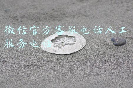 微信官方客服电话人工服务电话怎么转接(95128！老年人约车就拨它)