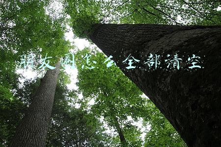 朋友圈怎么全部清空