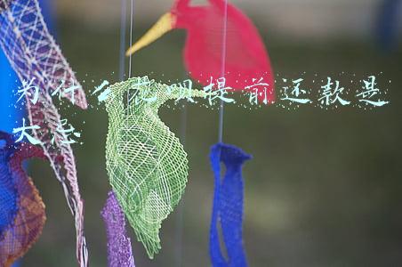 为什么花呗提前还款是大忌