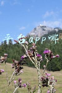租号平台app哪个好