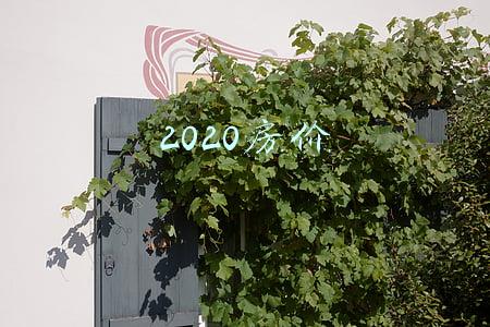 2020房价
