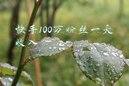 快手100万粉丝一天收入