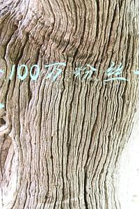 快手100万粉丝一天收入
