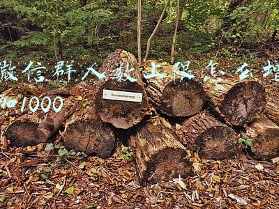 微信群人数上限怎么增加1000