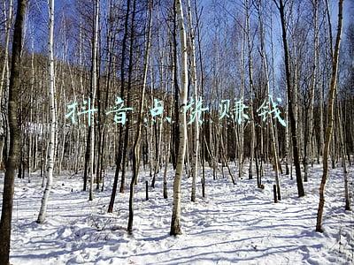 抖音点赞赚钱