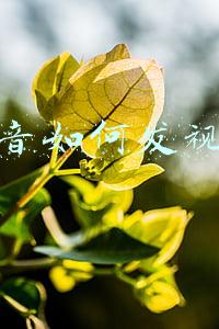 抖音如何发视频