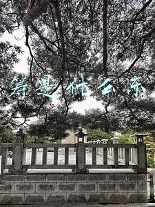 众筹是什么东西