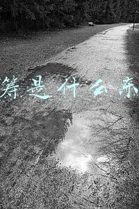 众筹是什么东西
