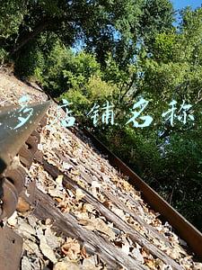 拼多多店铺名称大全