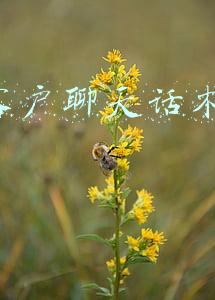 跟客户聊天话术900句