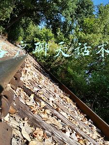 跟客户聊天话术900句